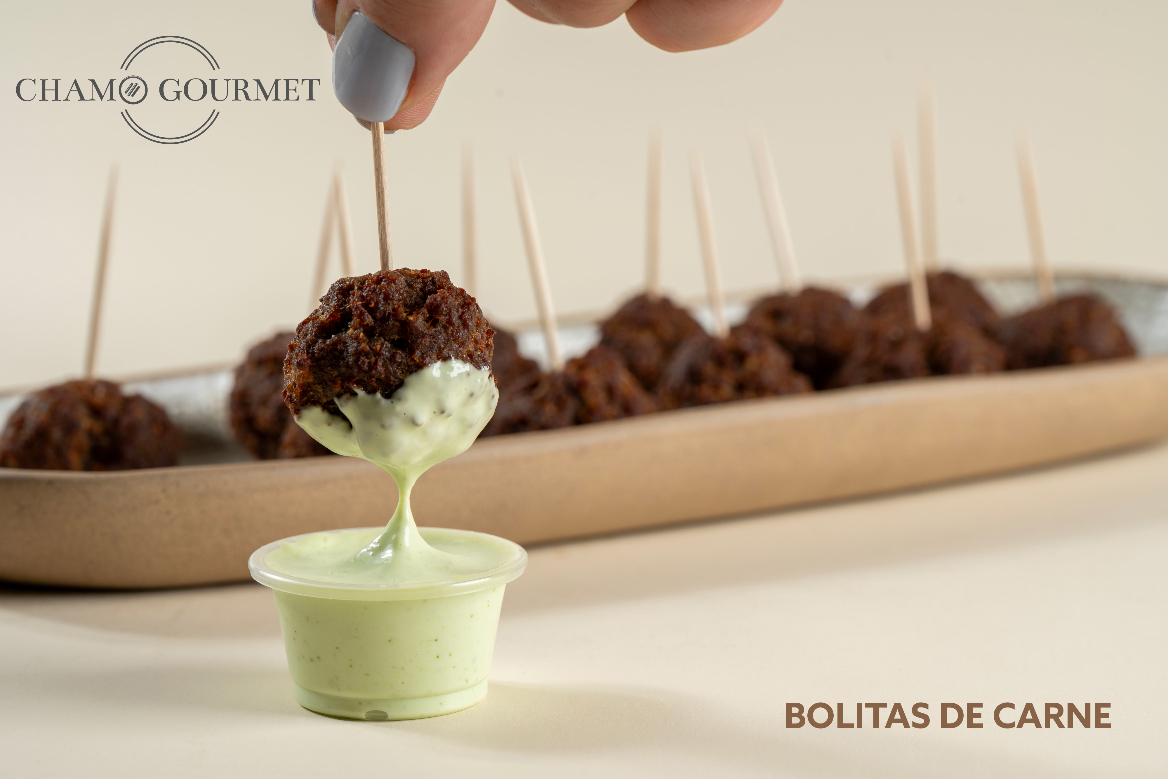 Bolitas de Carne